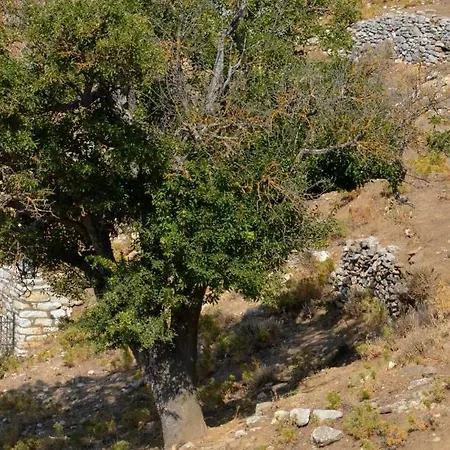 公寓 με θέα το χωριό & το όρος ζευς! *