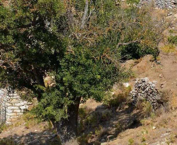 Апартаменты με θέα το χωριό & το όρος ζευς! *