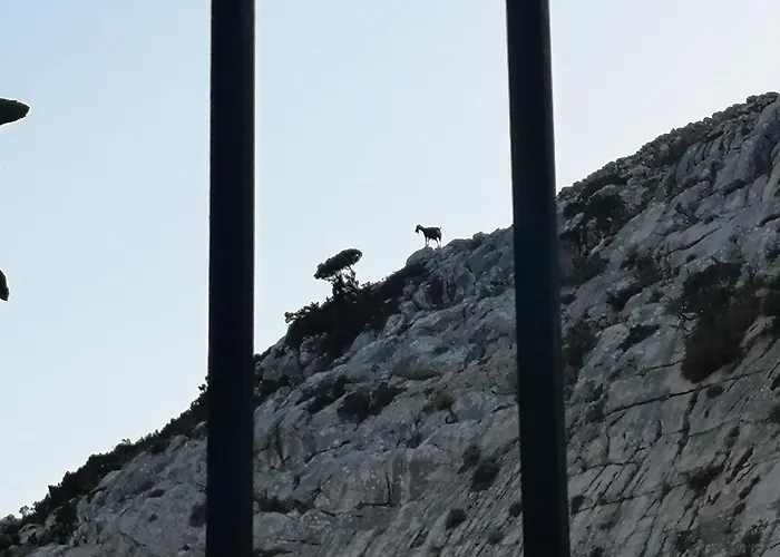 με θέα το χωριό & το όρος ζευς! * Aperathos